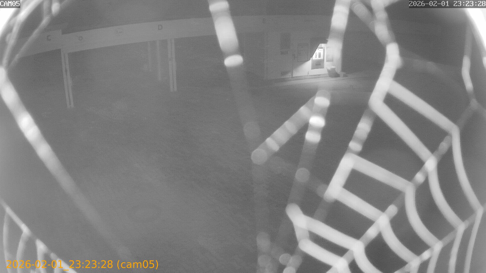 thumbnail_20260201232328