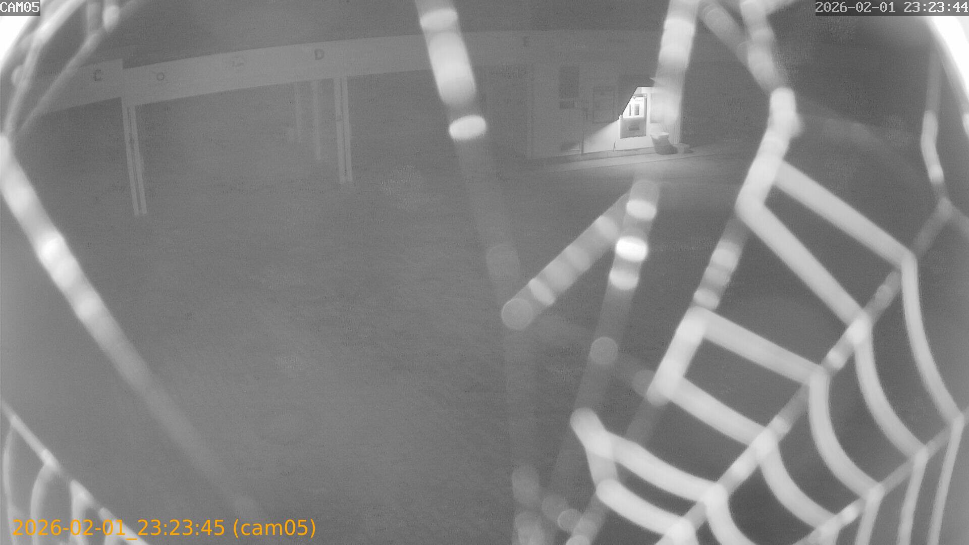 thumbnail_20260201232345