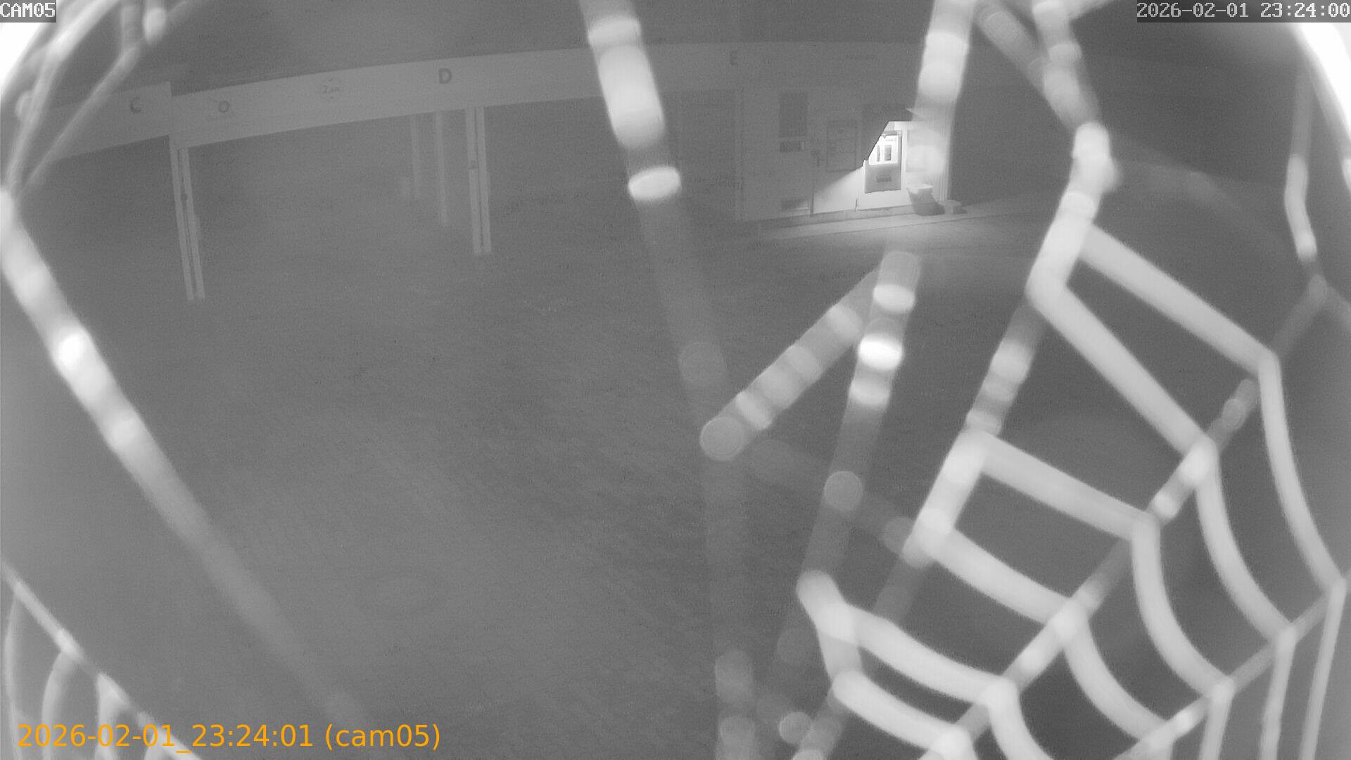 thumbnail_20260201232401