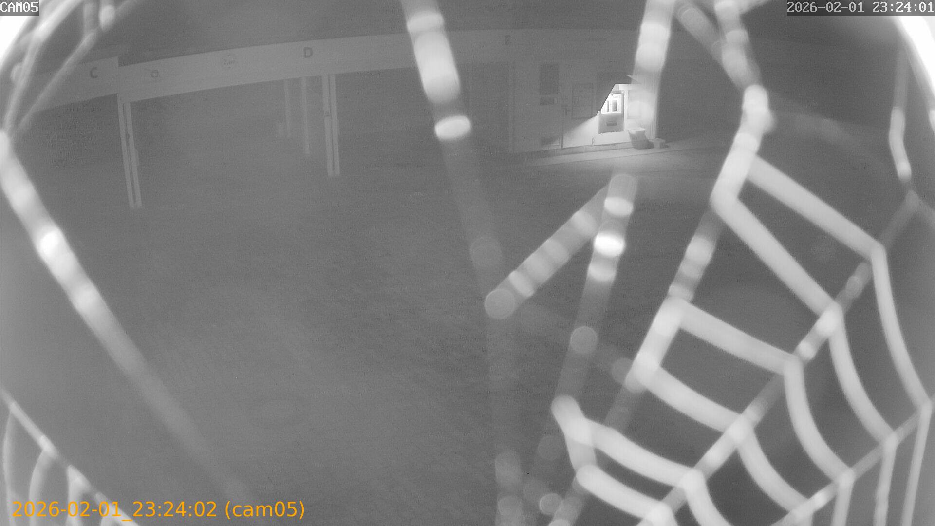 thumbnail_20260201232402