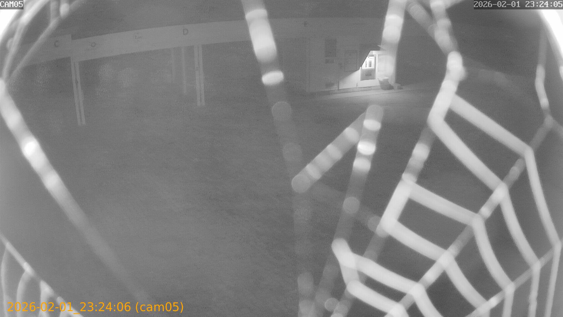 thumbnail_20260201232406