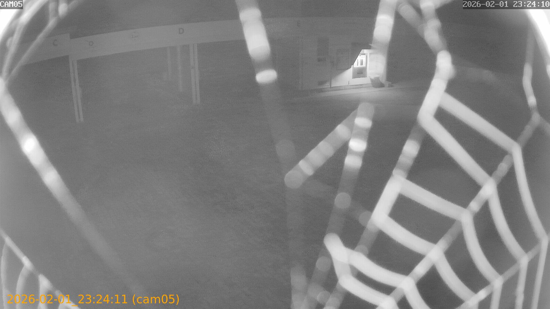 thumbnail_20260201232411