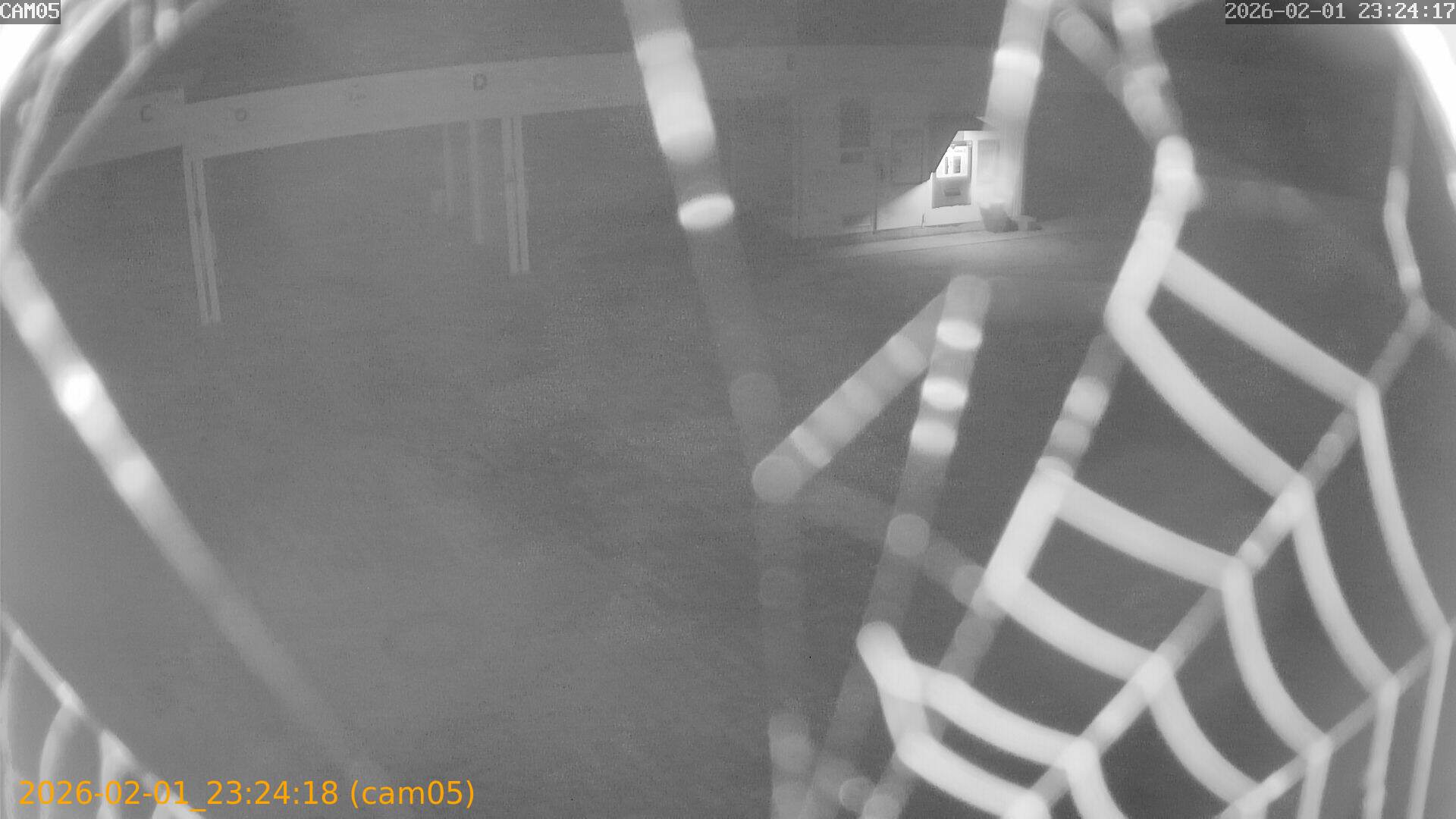 thumbnail_20260201232418