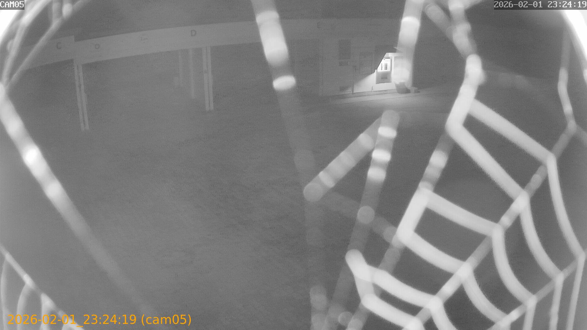 thumbnail_20260201232419