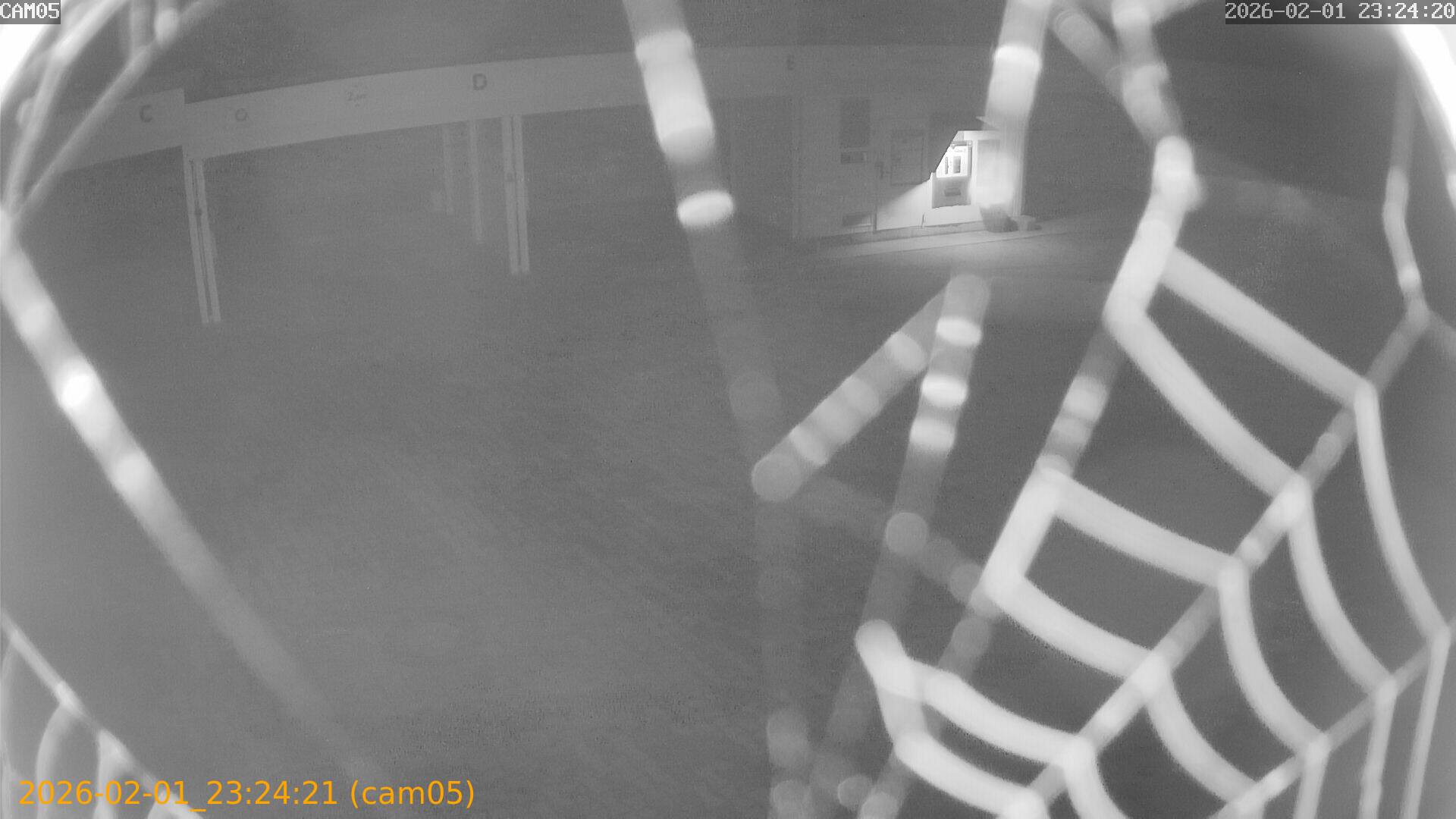 thumbnail_20260201232421