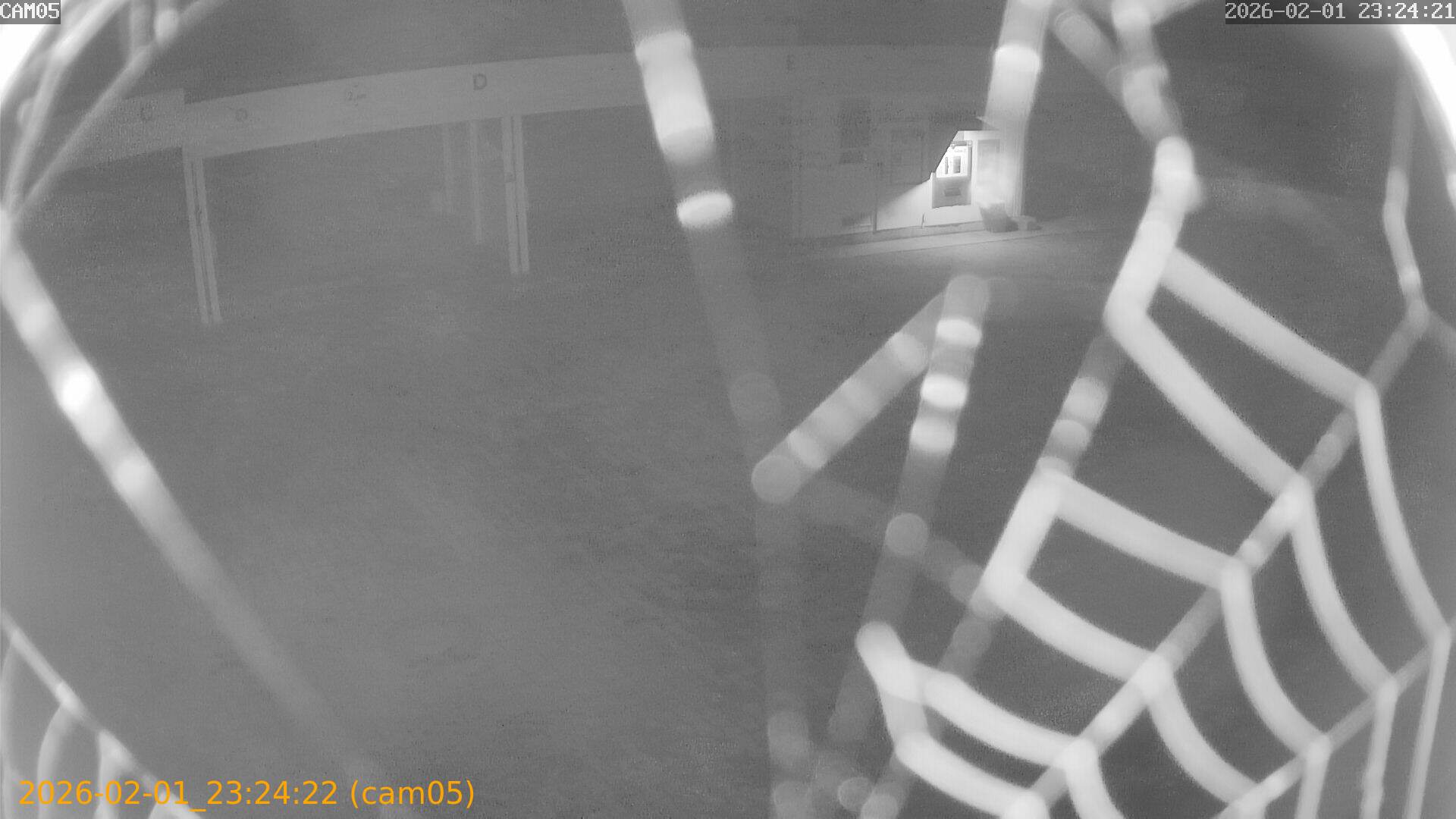 thumbnail_20260201232422