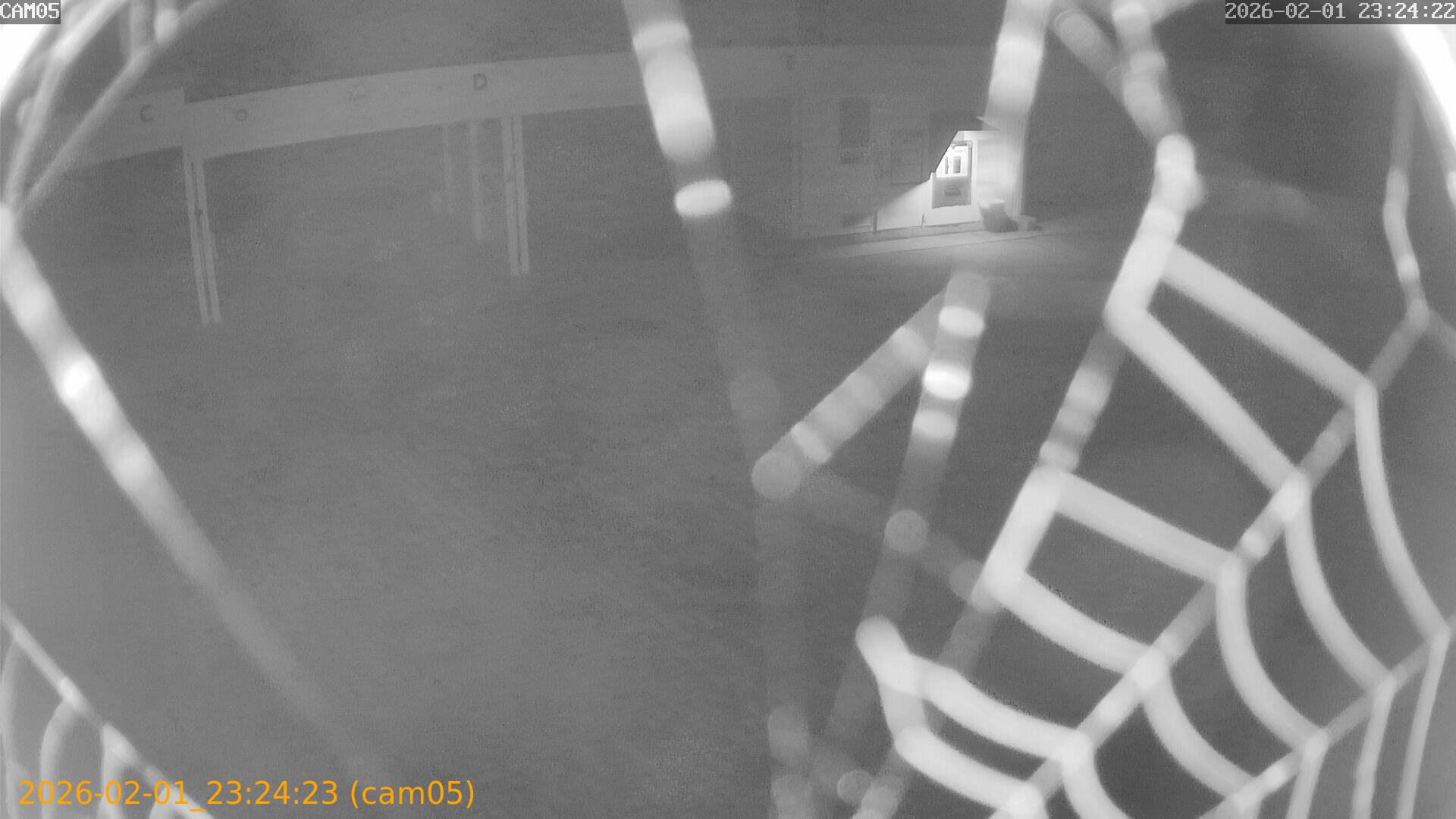 thumbnail_20260201232423