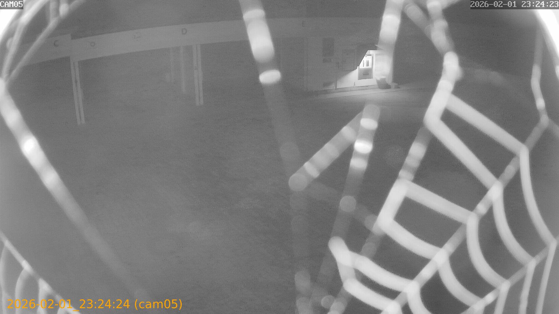 thumbnail_20260201232424