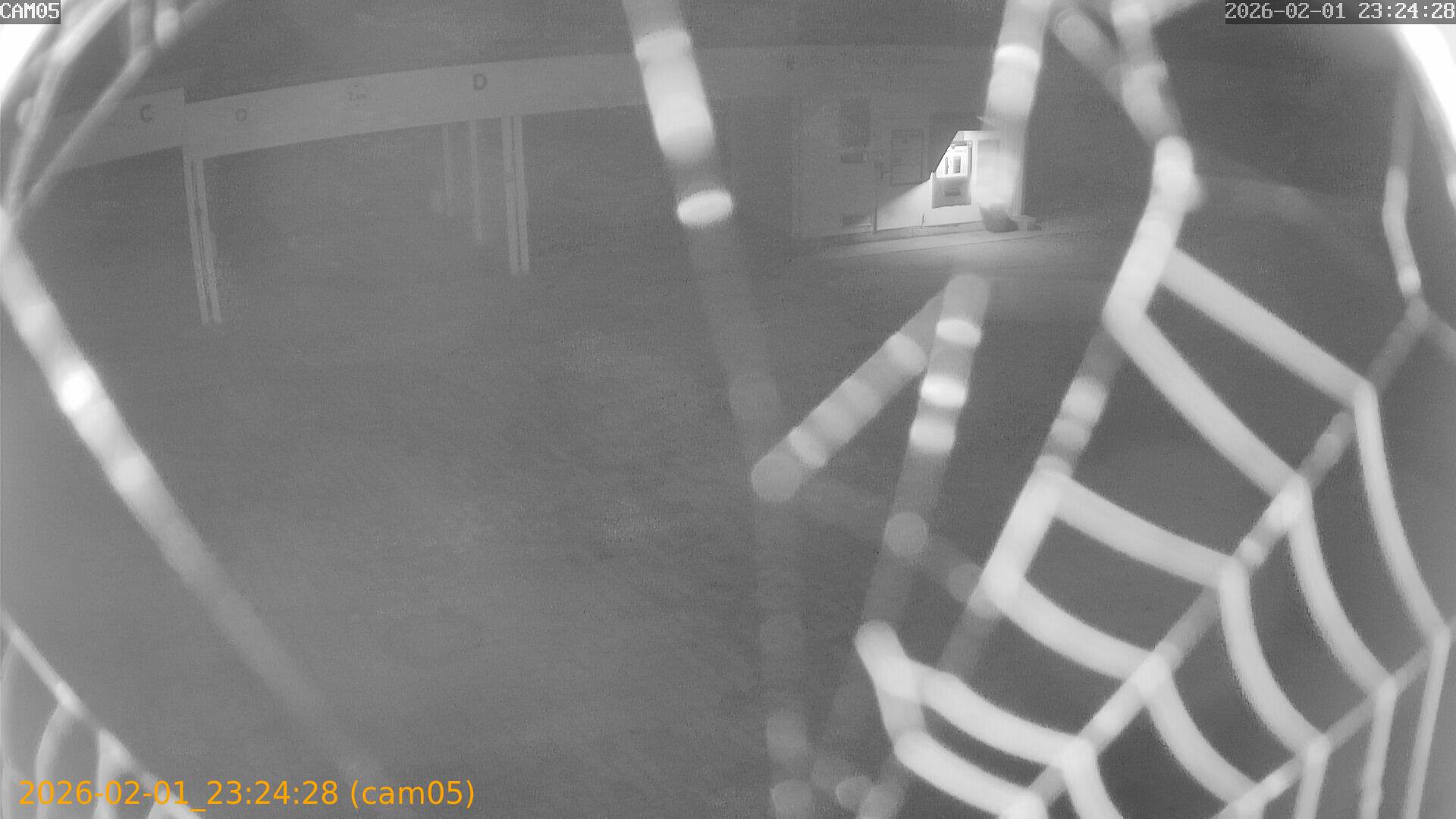 thumbnail_20260201232428