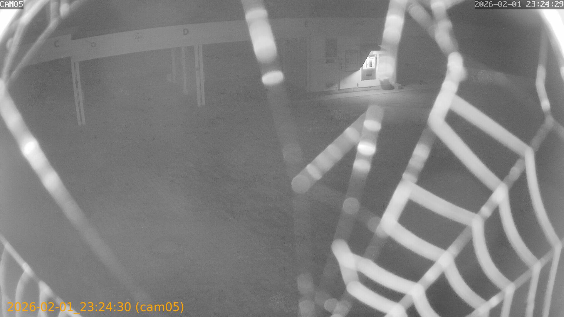 thumbnail_20260201232430