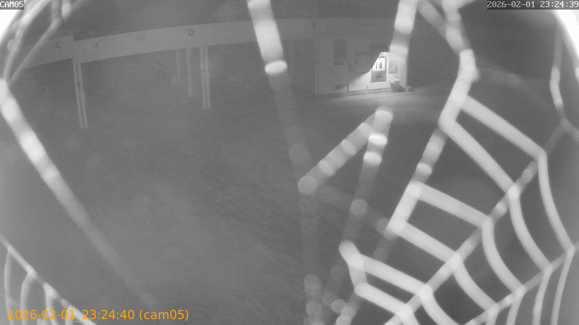 thumbnail_20260201232440