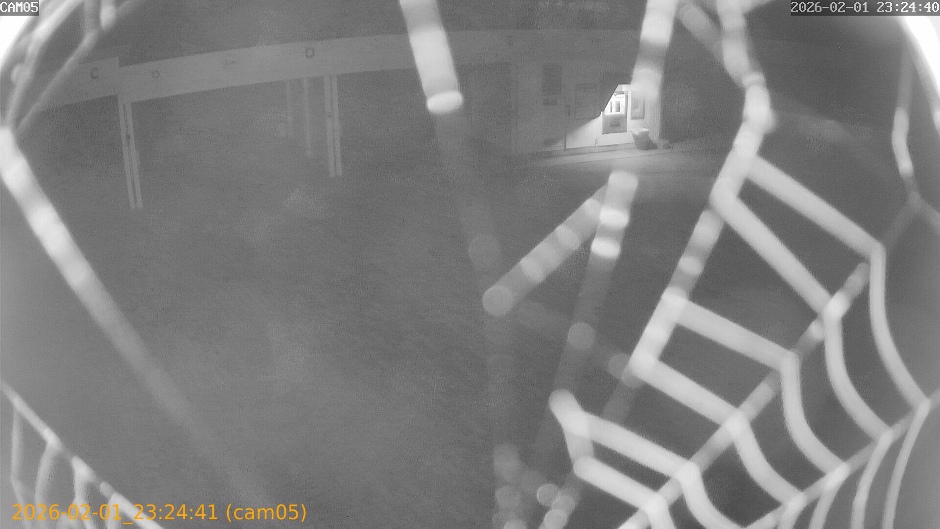 thumbnail_20260201232441