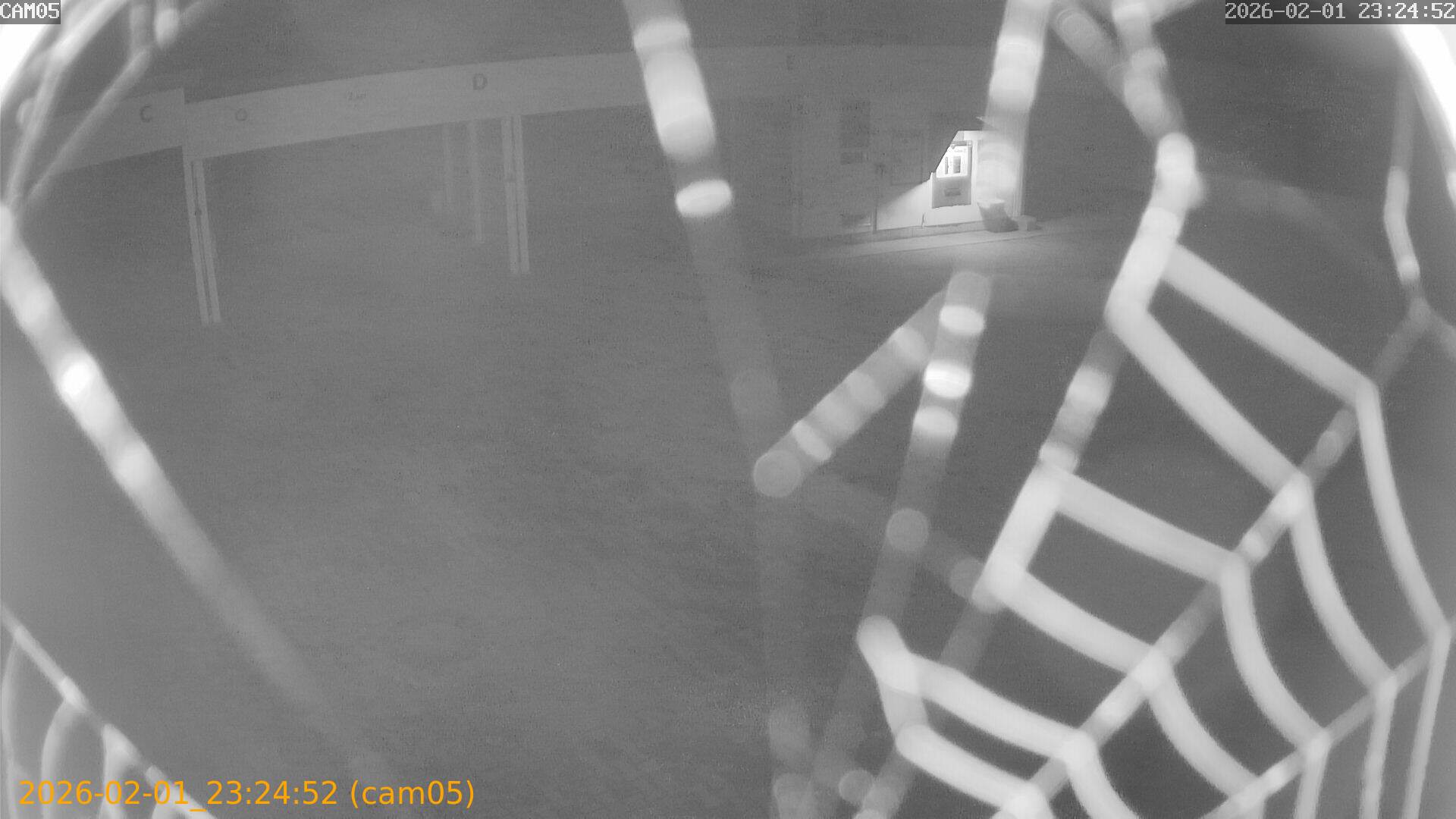 thumbnail_20260201232452