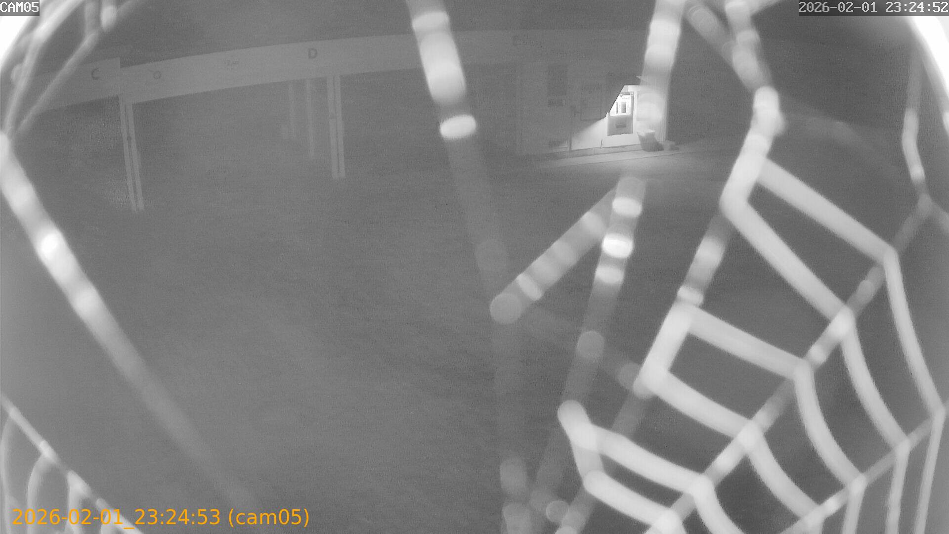 thumbnail_20260201232453