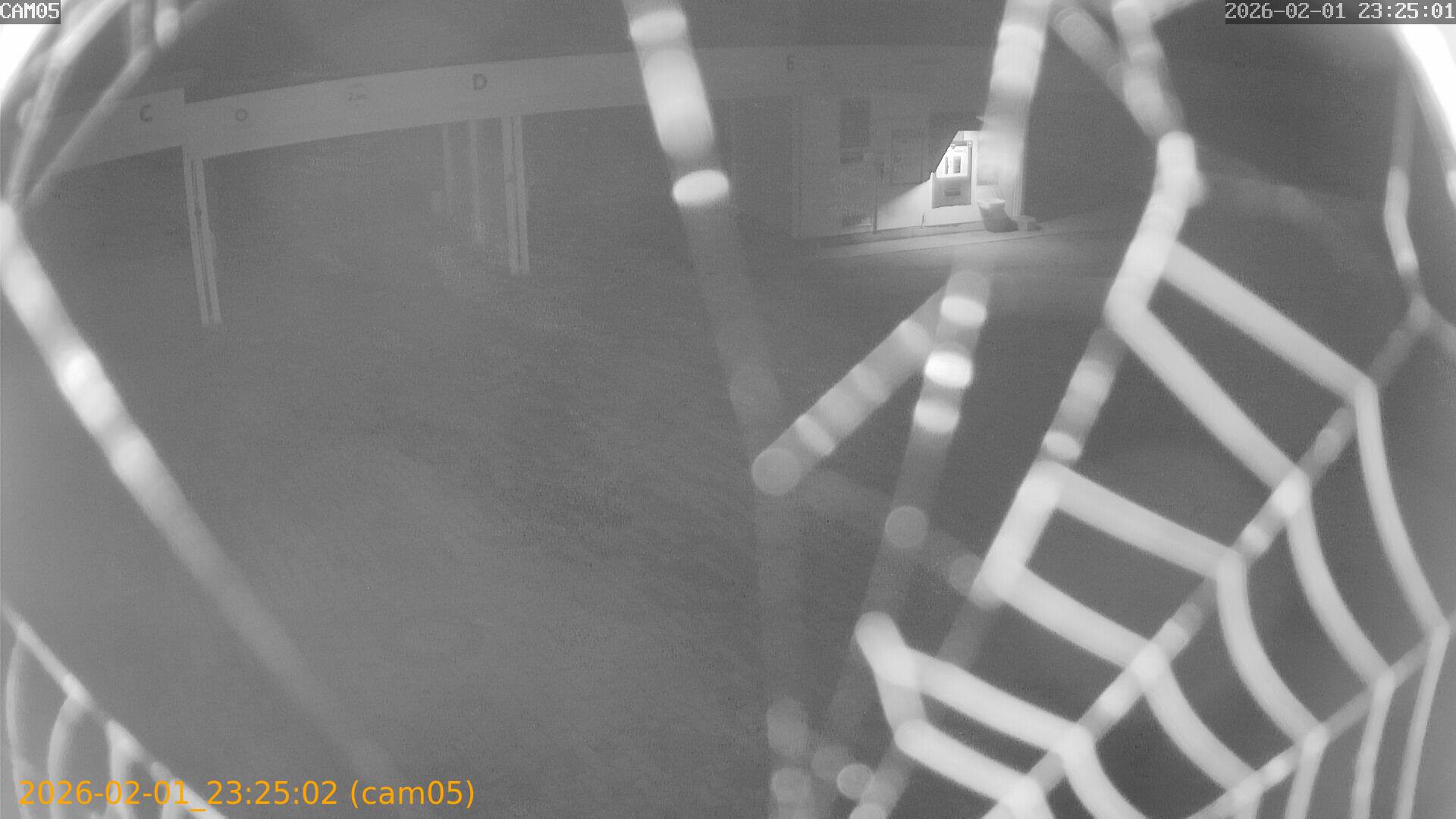 thumbnail_20260201232502