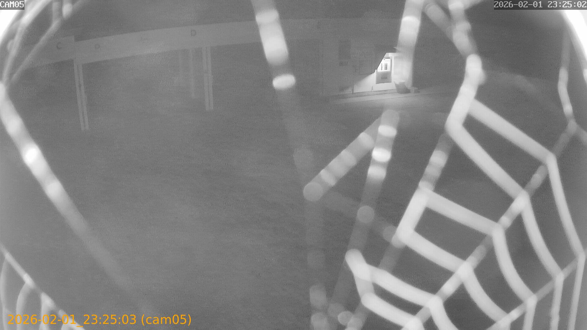 thumbnail_20260201232503