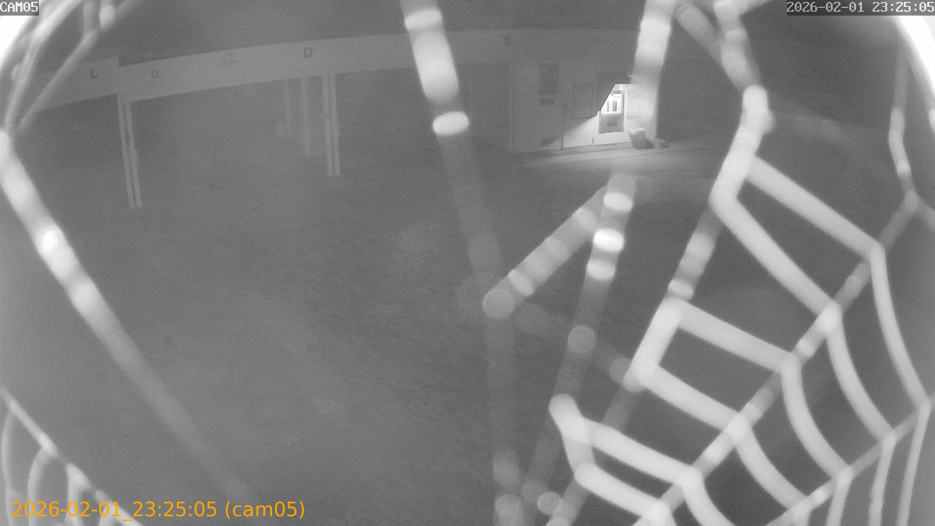 thumbnail_20260201232505