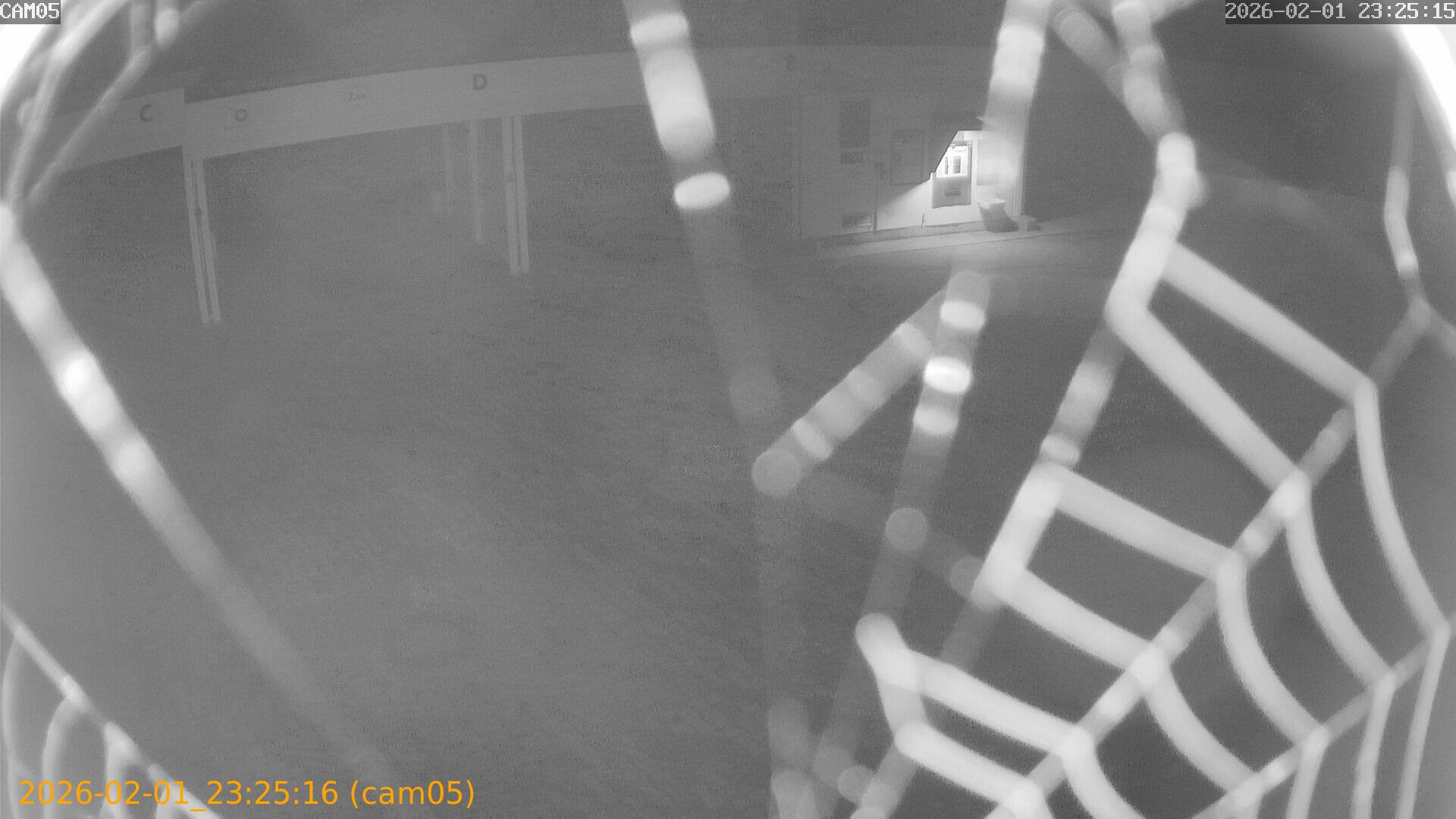 thumbnail_20260201232516