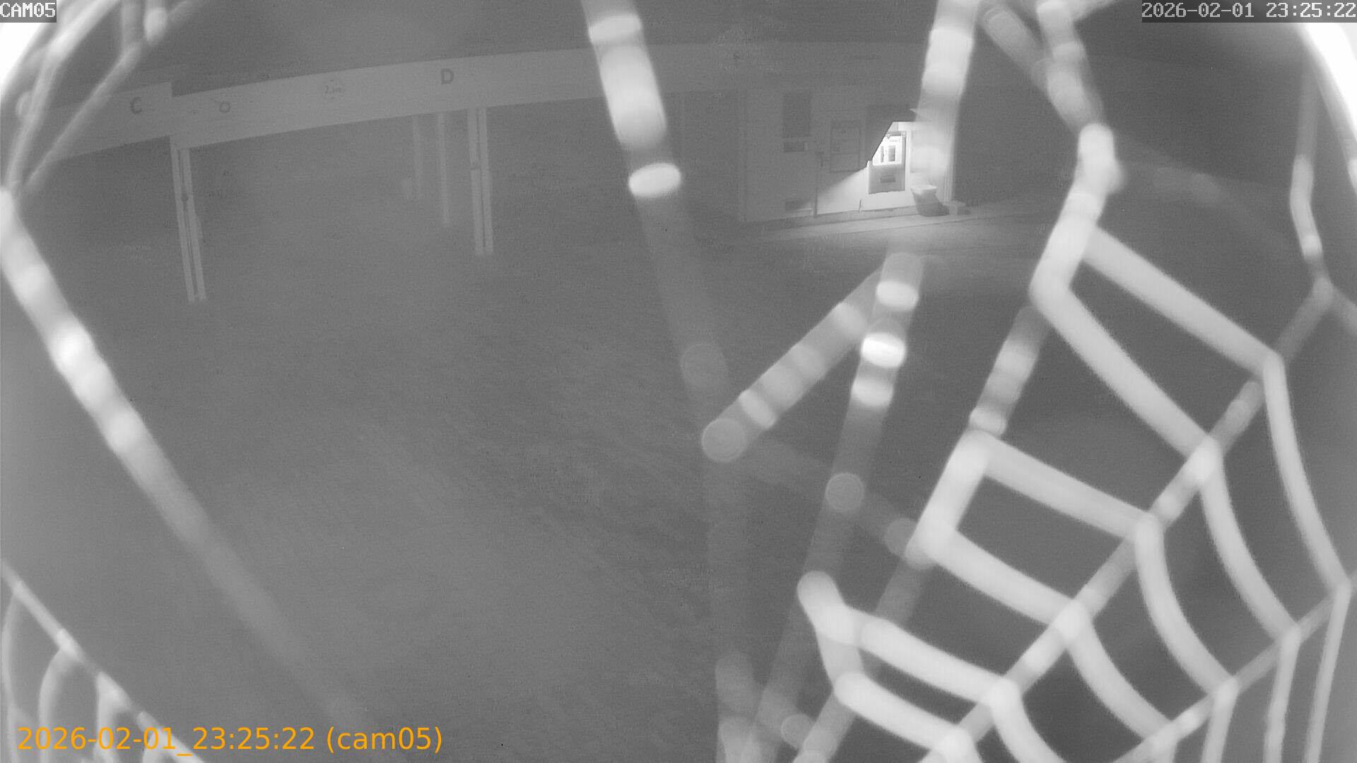 thumbnail_20260201232522