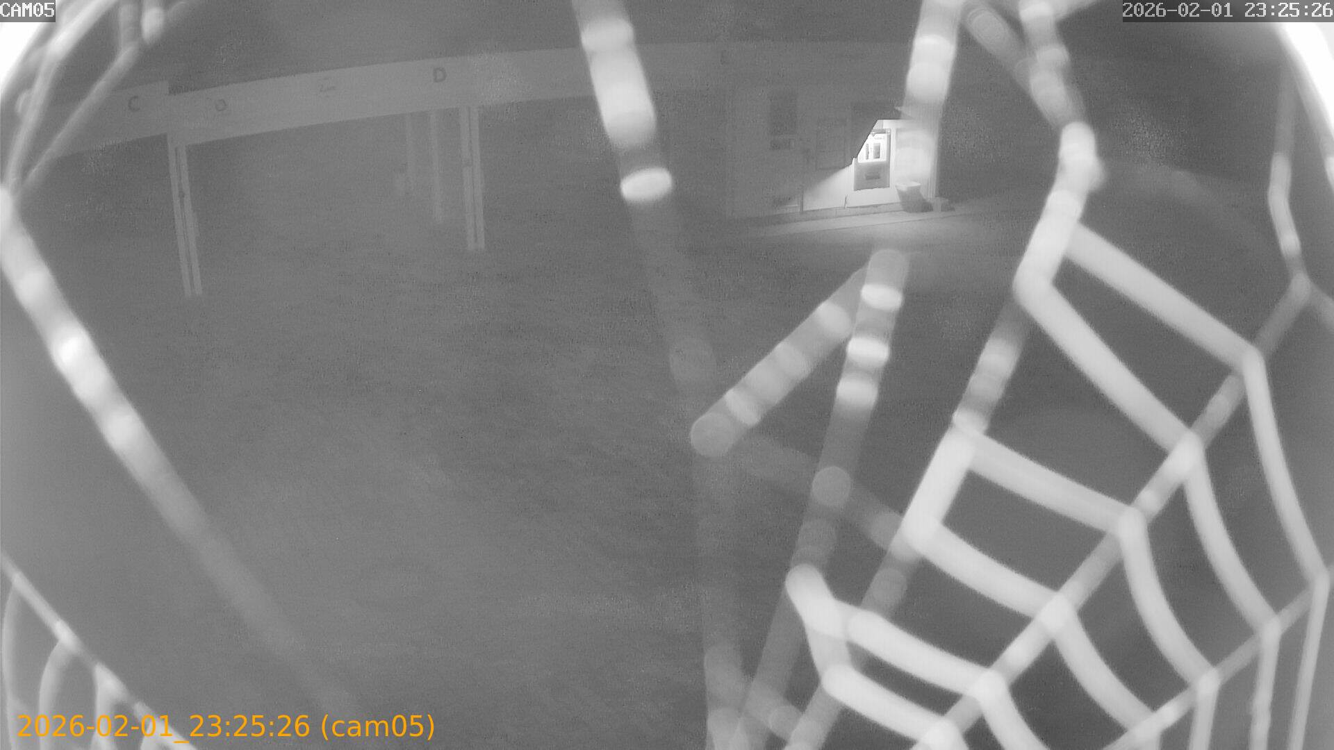 thumbnail_20260201232526