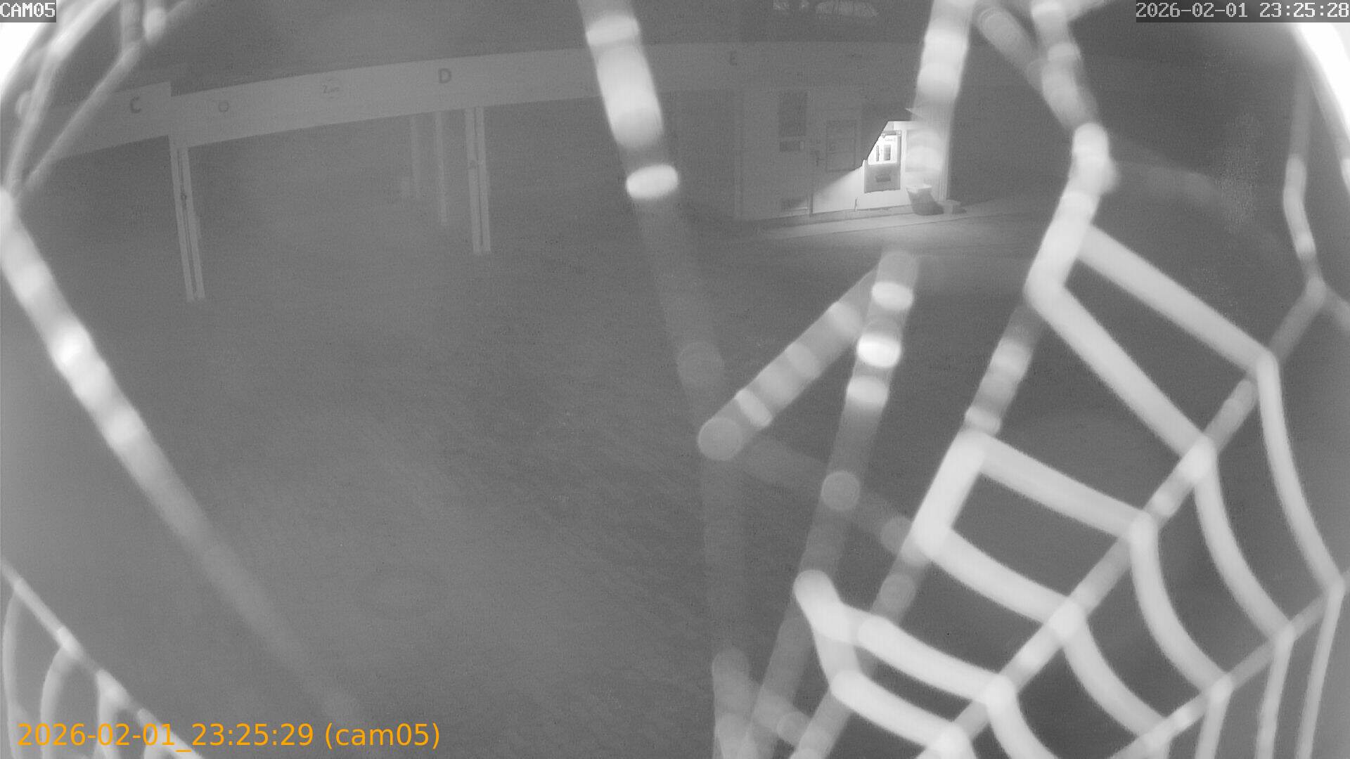 thumbnail_20260201232529