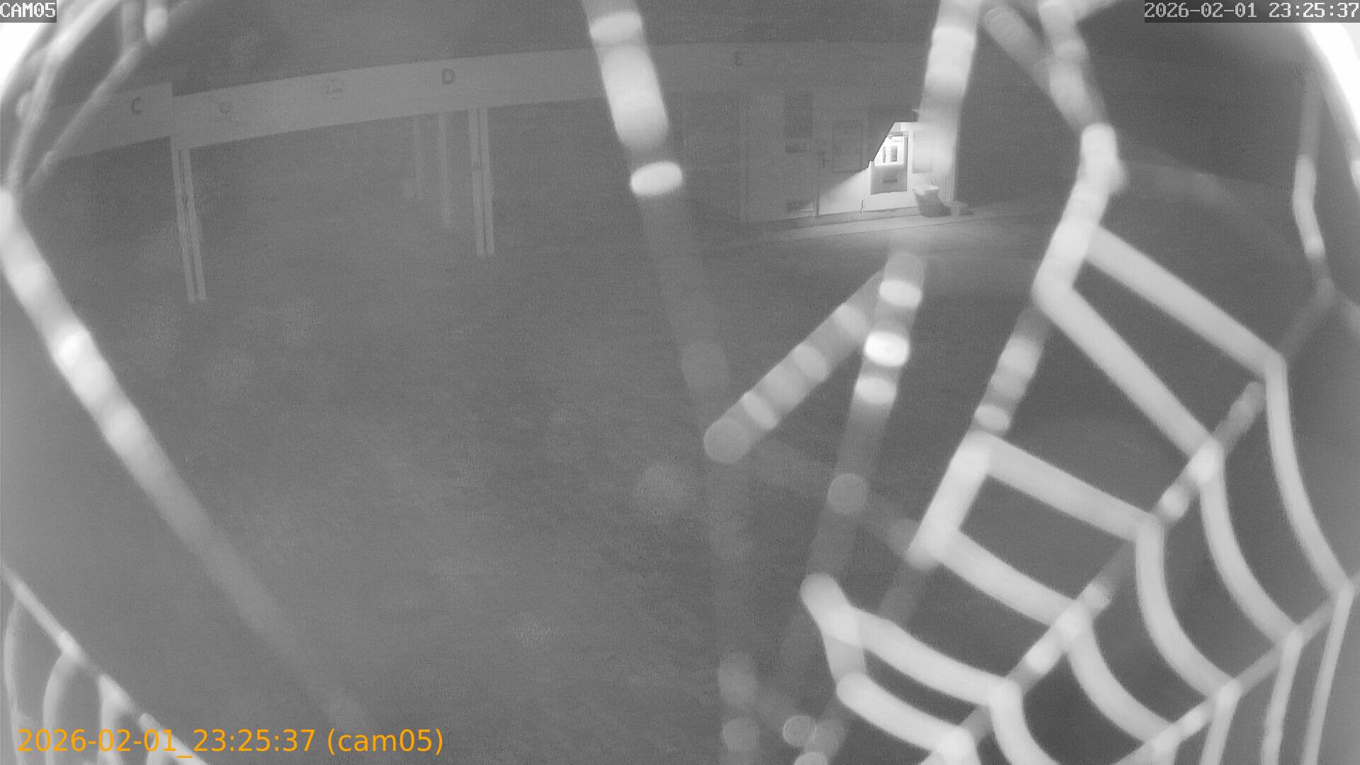 thumbnail_20260201232537