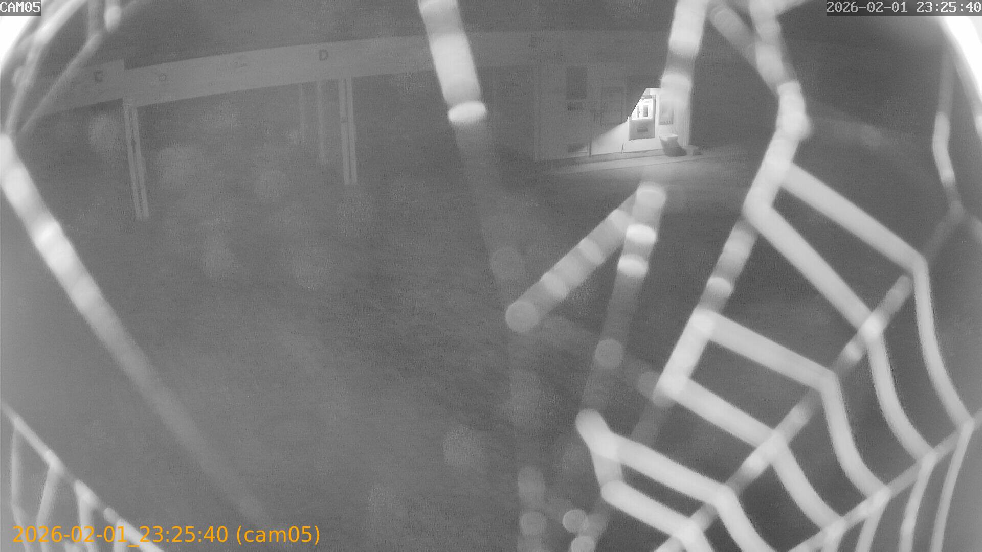 thumbnail_20260201232540