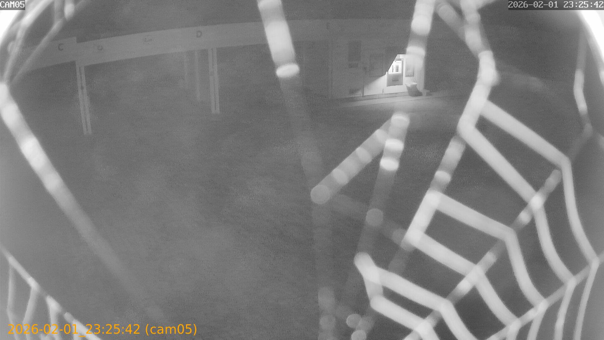 thumbnail_20260201232542