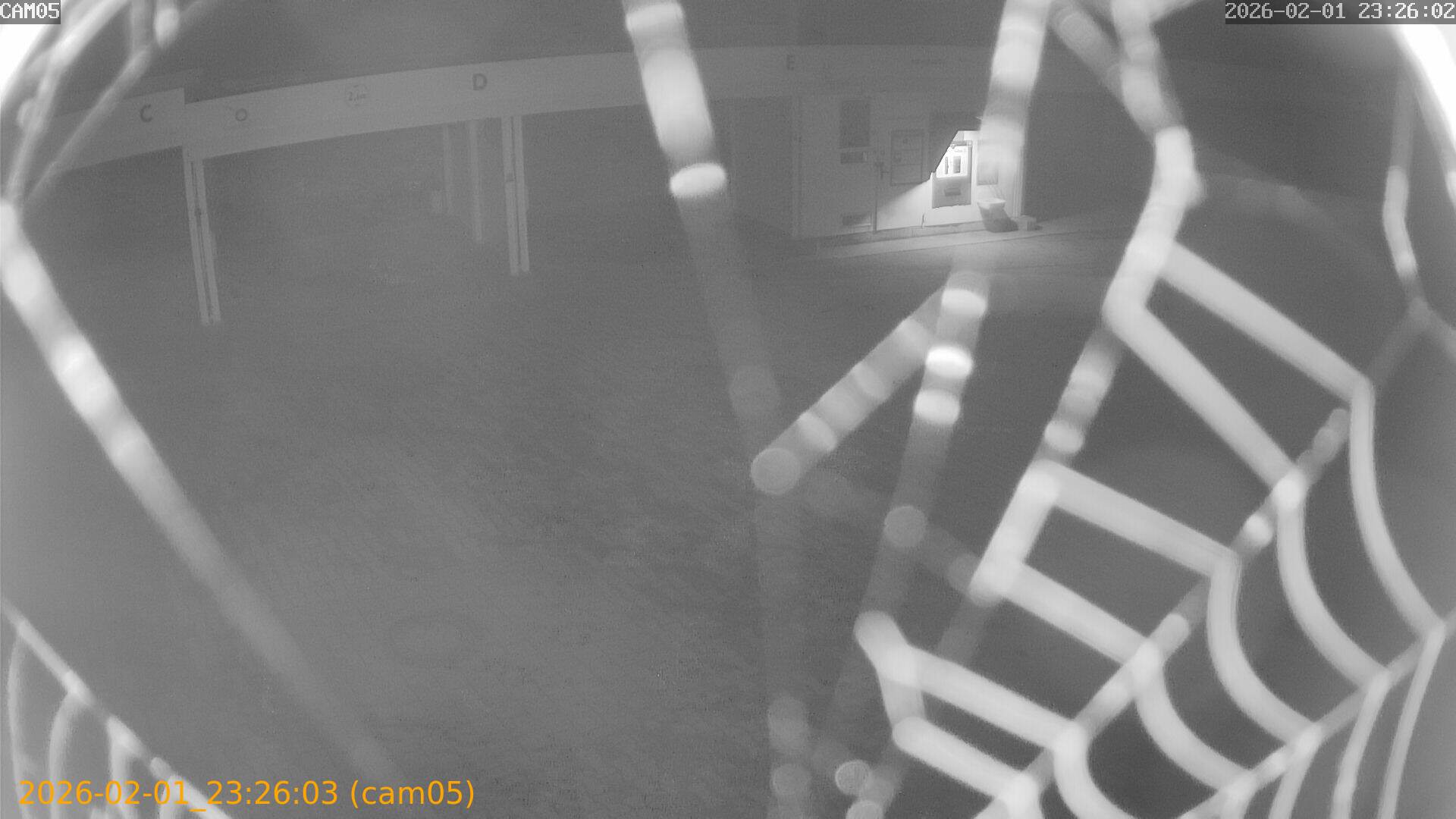 thumbnail_20260201232603