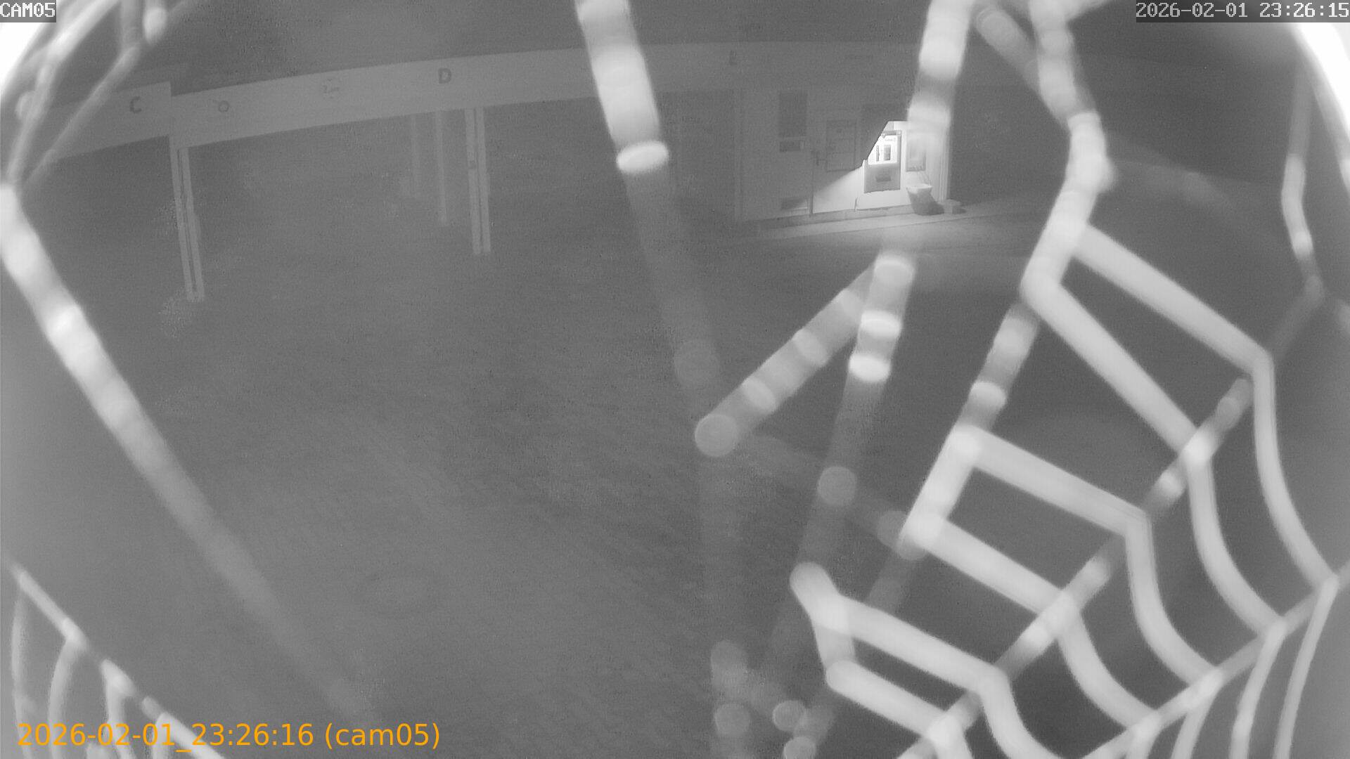 thumbnail_20260201232616