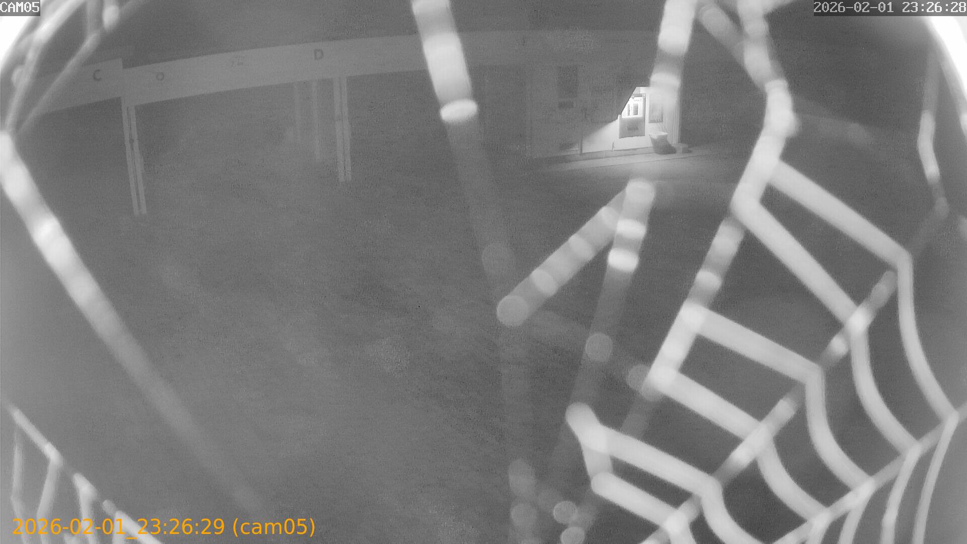 thumbnail_20260201232629