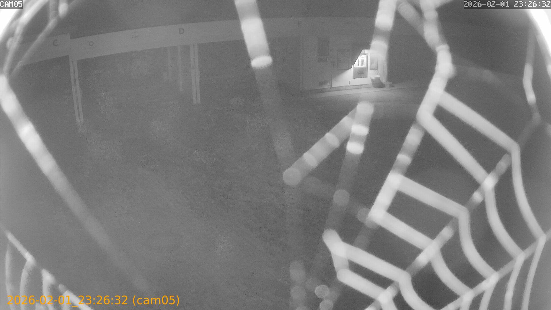 thumbnail_20260201232632