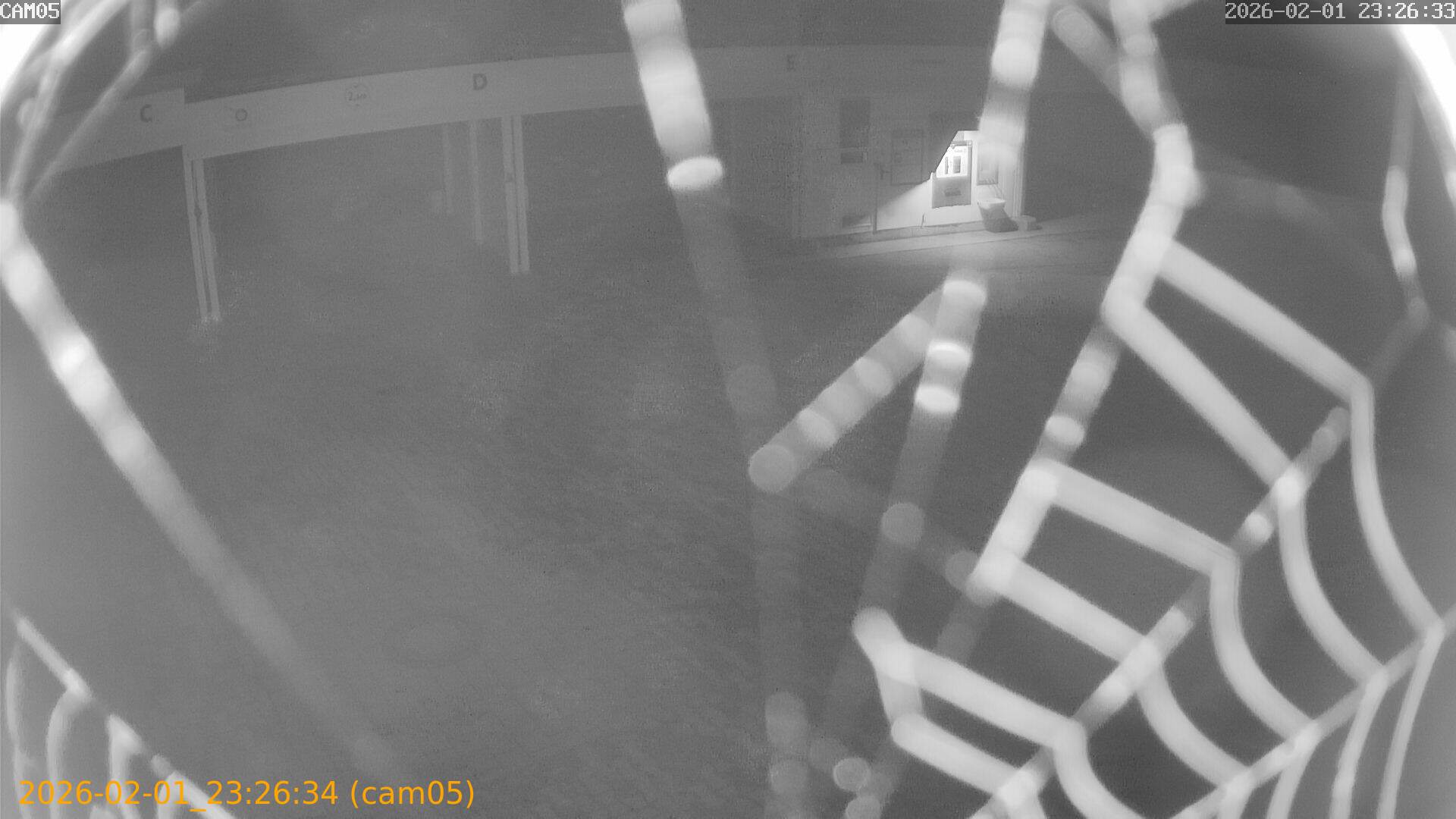 thumbnail_20260201232634