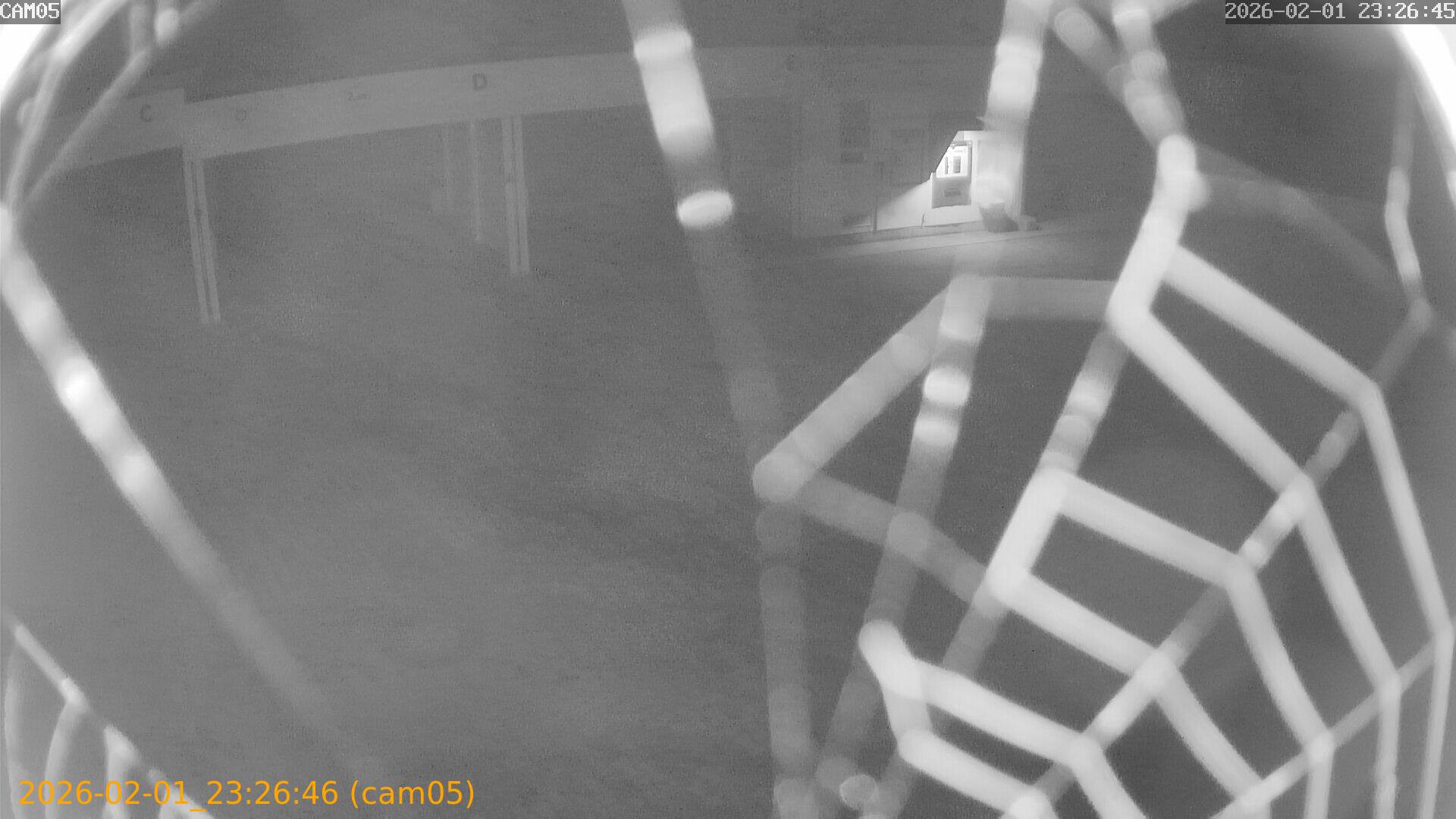 thumbnail_20260201232646