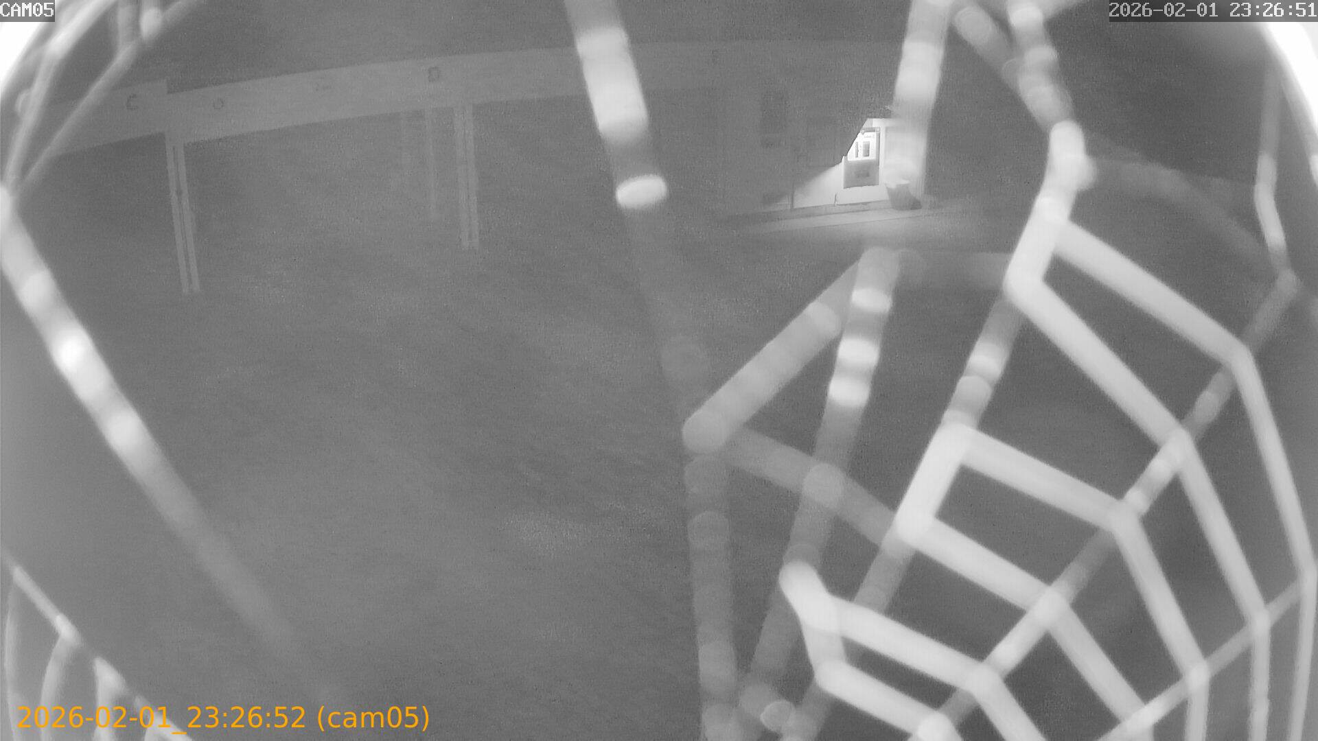 thumbnail_20260201232652