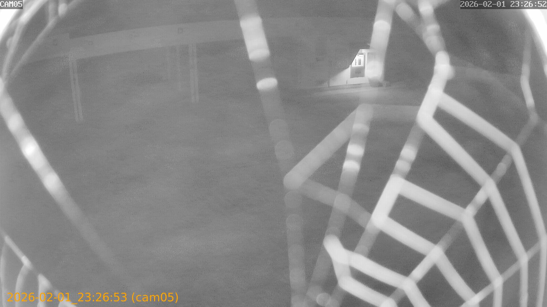 thumbnail_20260201232653