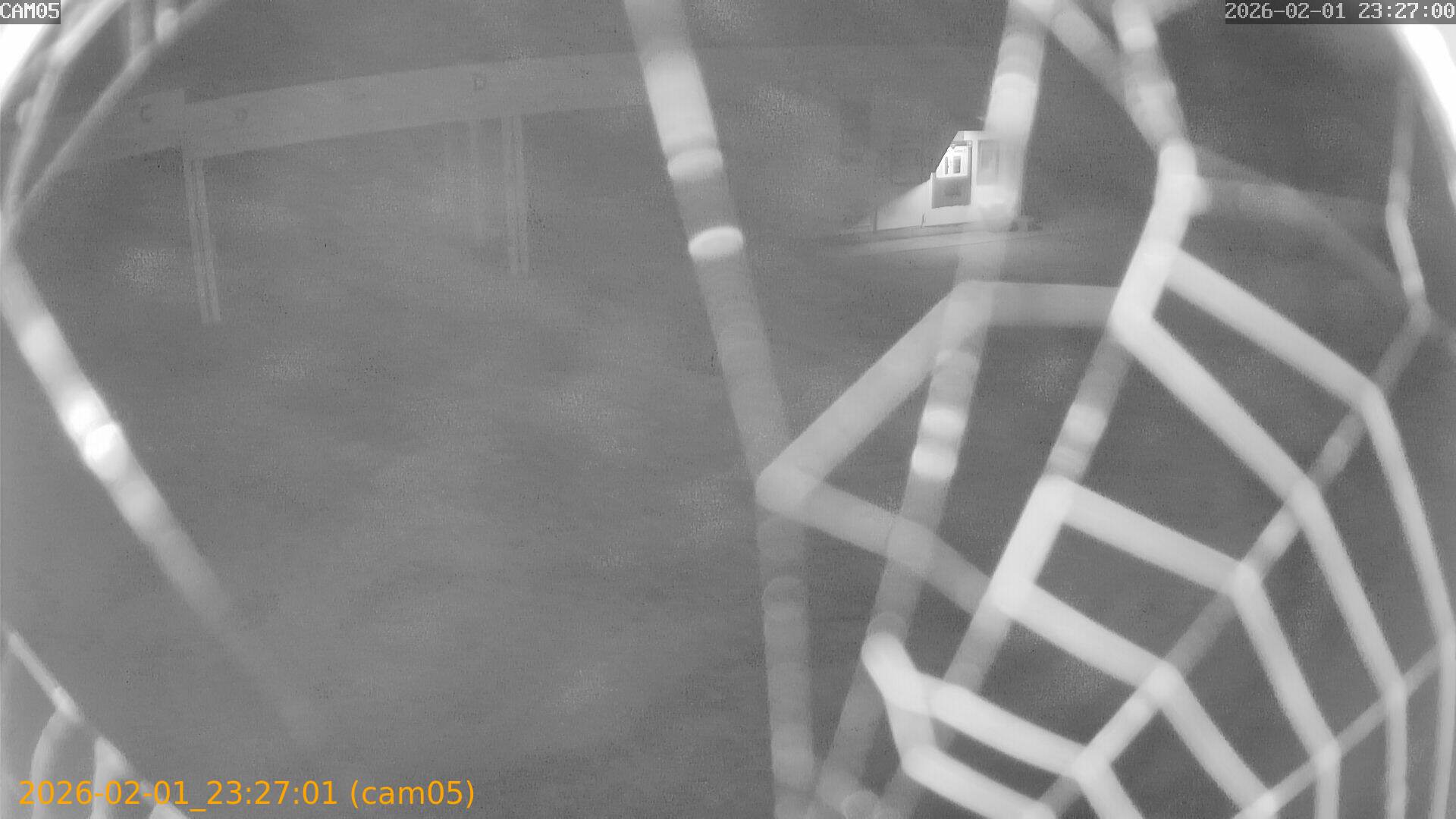 thumbnail_20260201232701