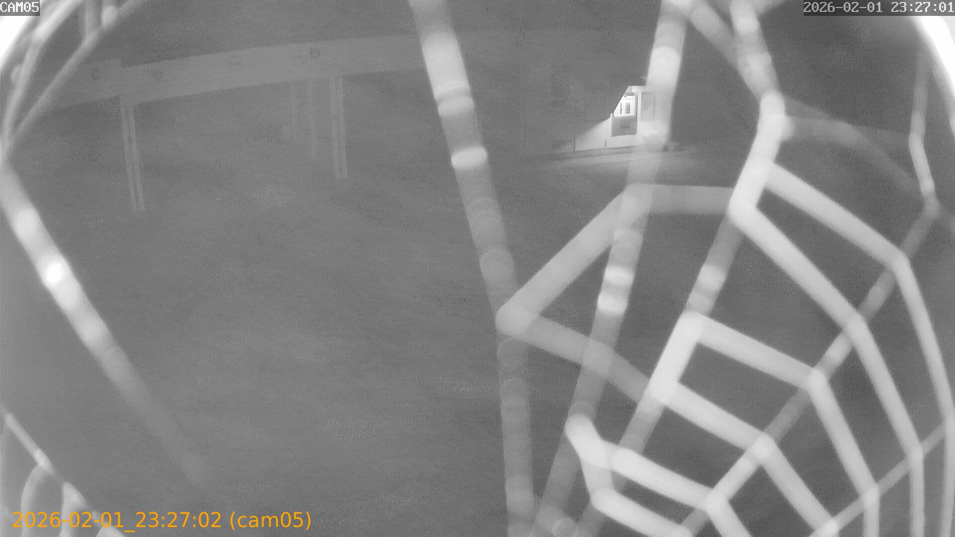 thumbnail_20260201232702