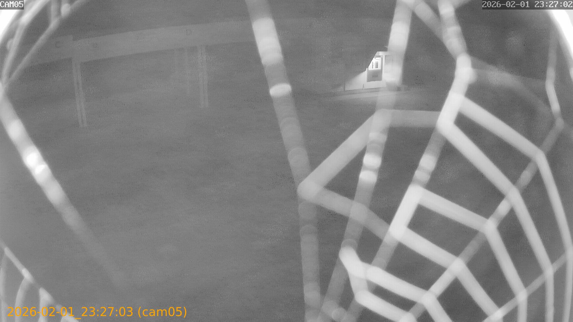 thumbnail_20260201232703