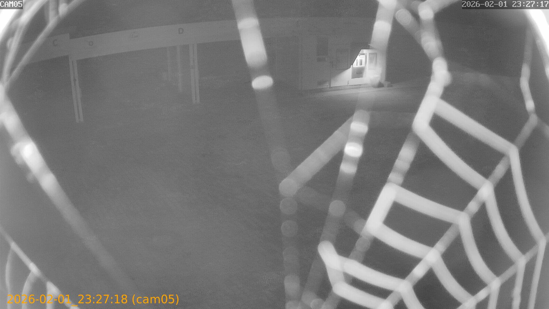 thumbnail_20260201232718