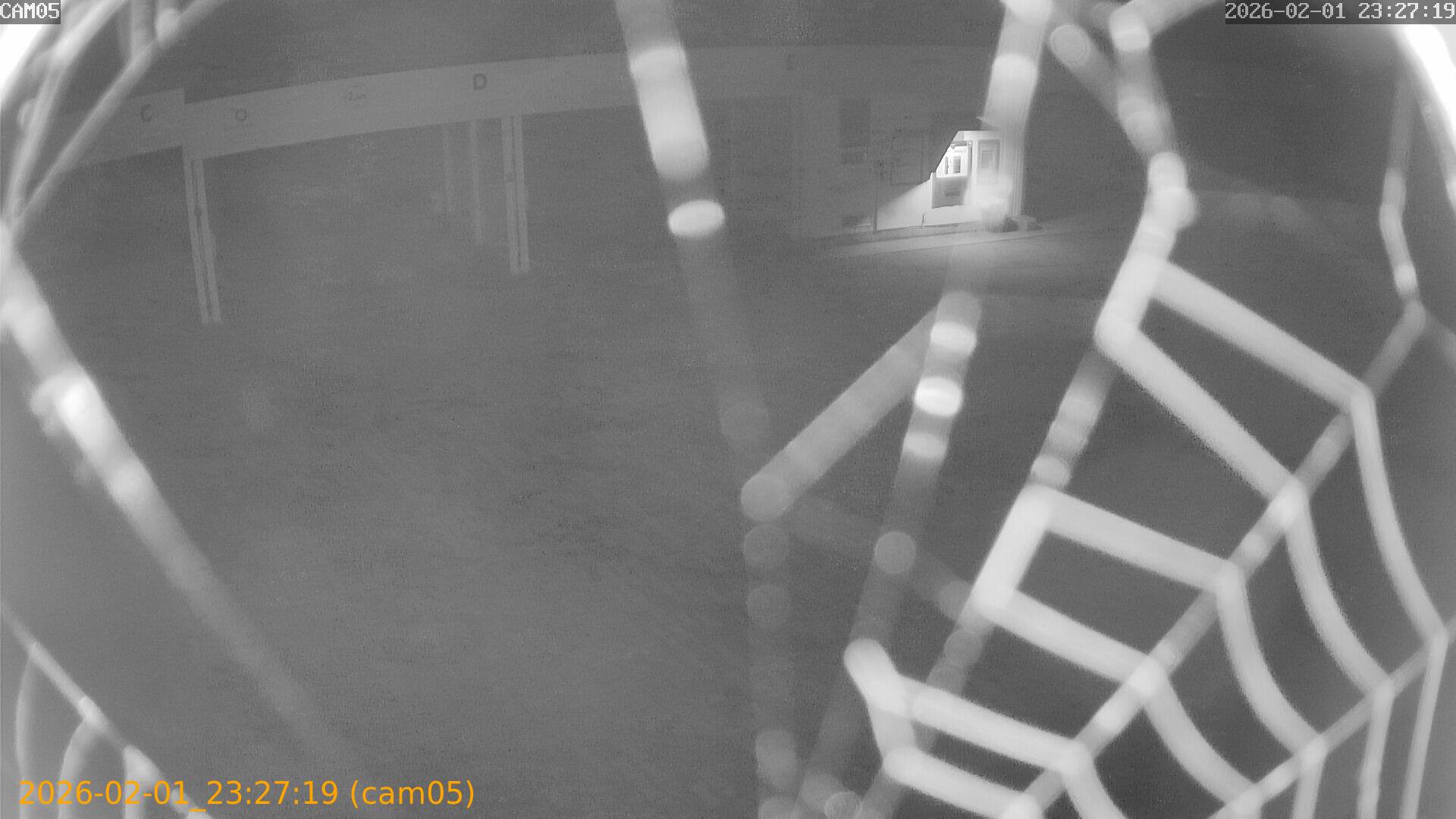 thumbnail_20260201232719