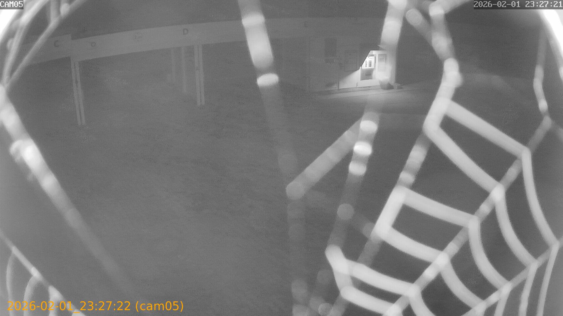 thumbnail_20260201232722