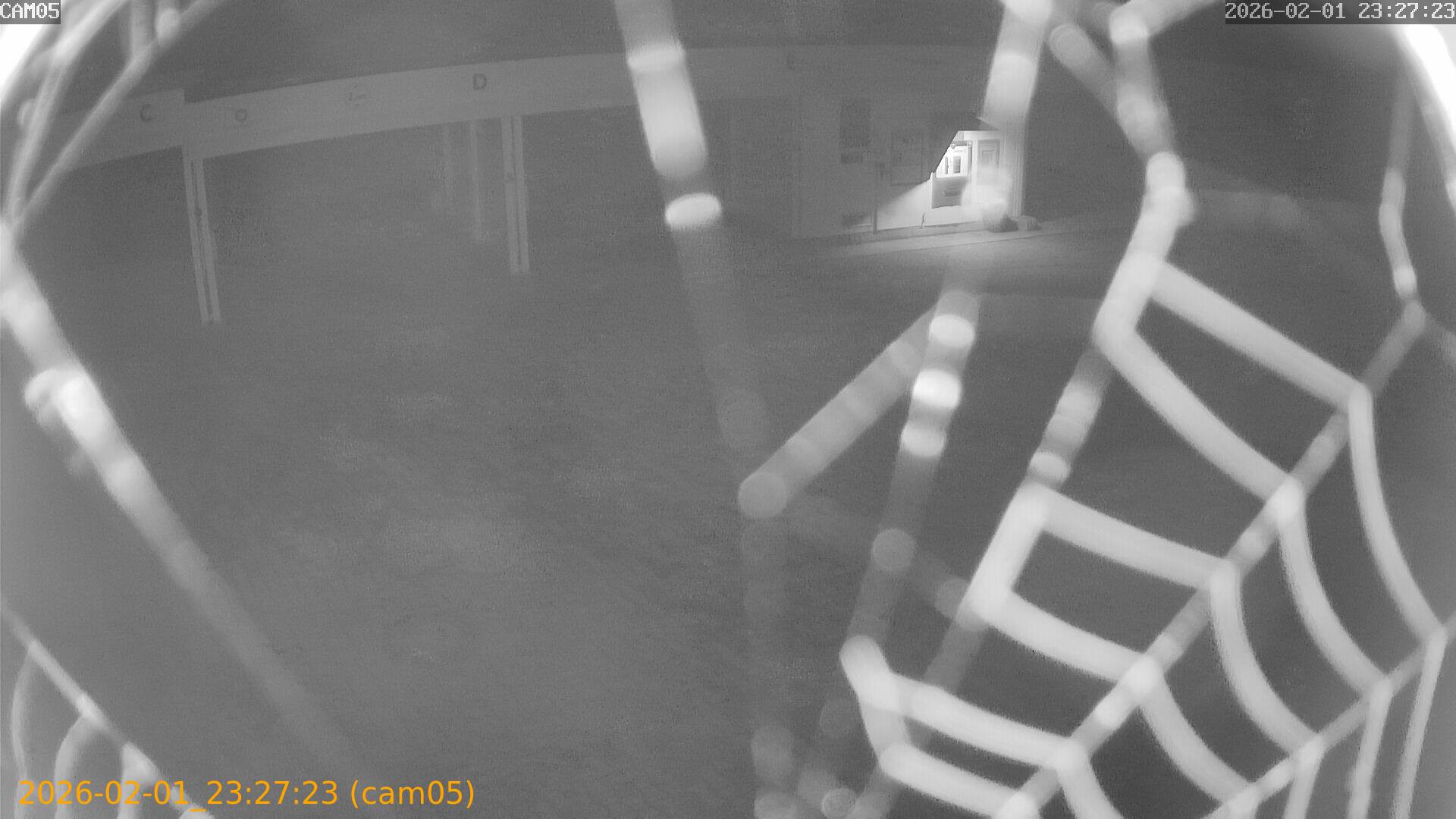 thumbnail_20260201232723