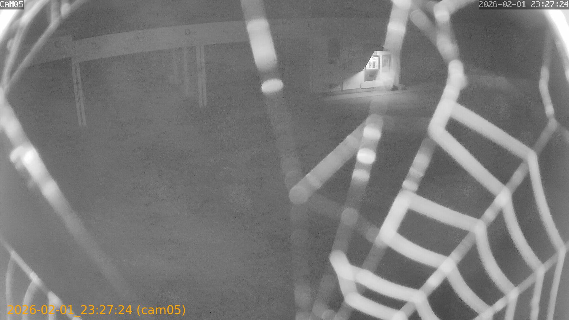 thumbnail_20260201232724