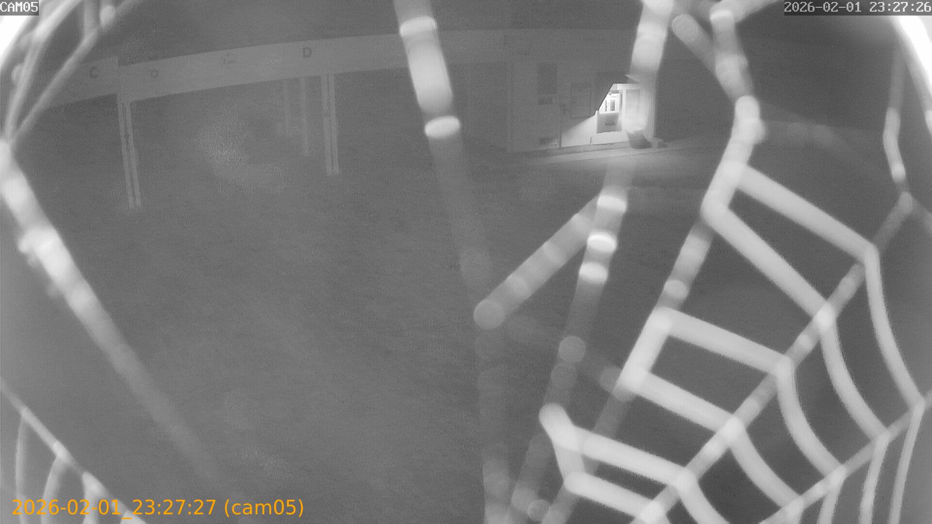 thumbnail_20260201232727