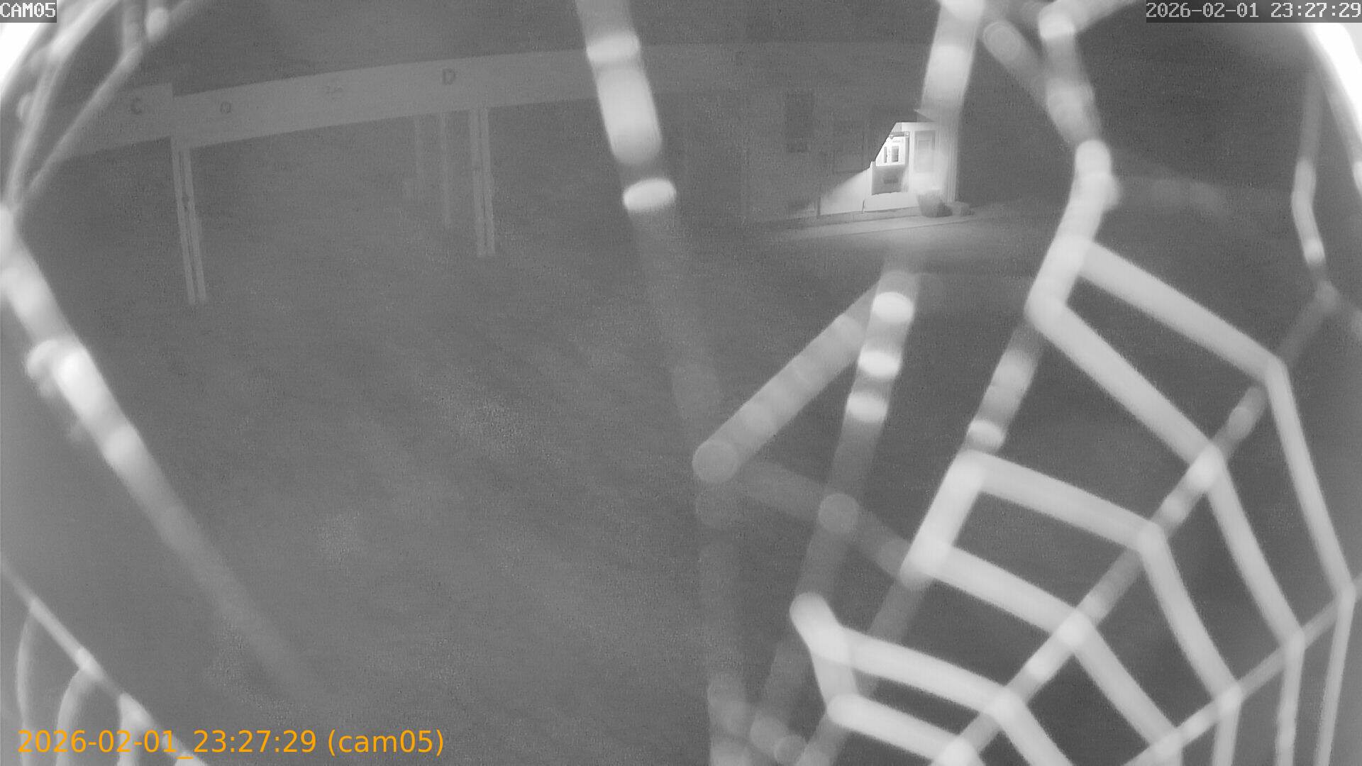 thumbnail_20260201232729