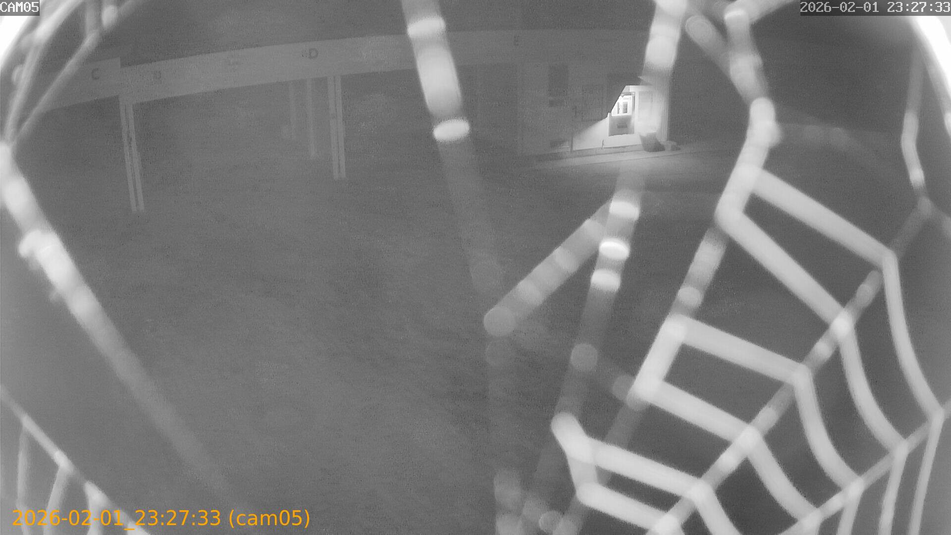 thumbnail_20260201232733