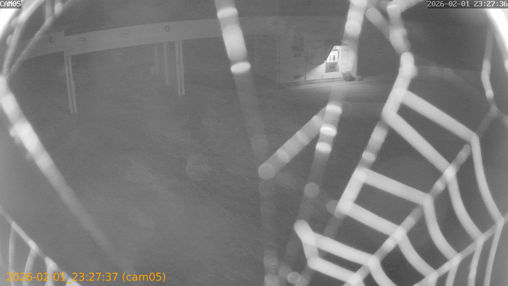 thumbnail_20260201232737