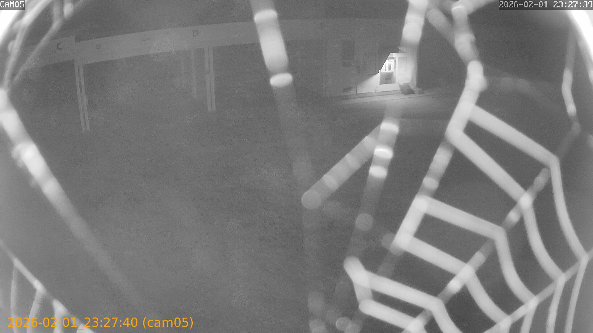 thumbnail_20260201232740