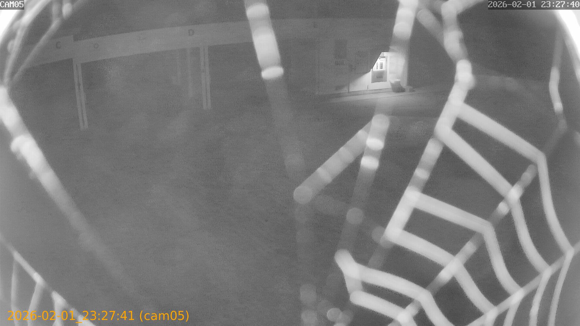 thumbnail_20260201232741